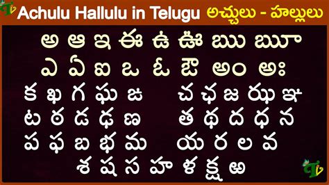 view meaning in telugu